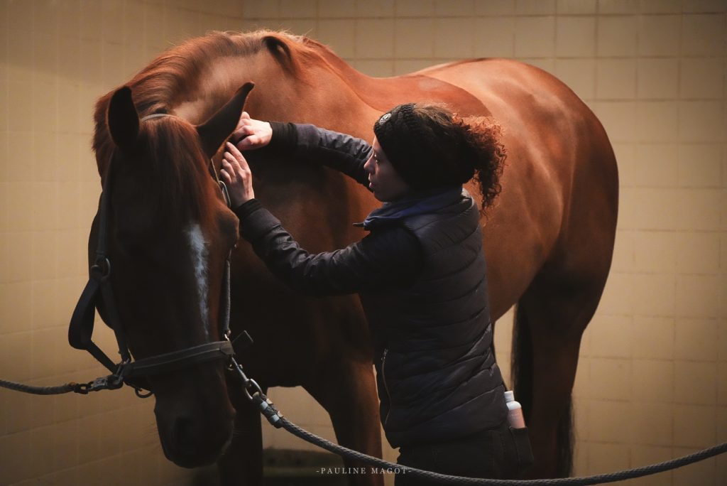 Jessica Dury masseure equin et canin Nantes
