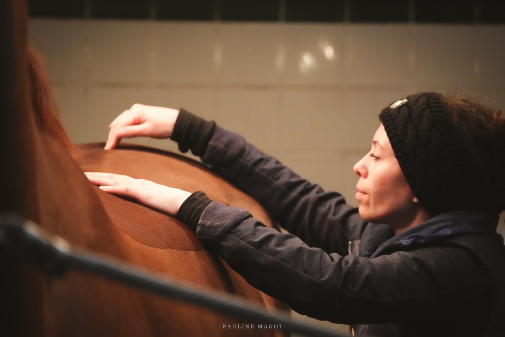 Jessica Dury massage équin