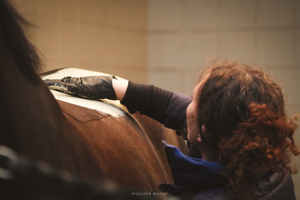 Jessica Dury massage équin Nantes